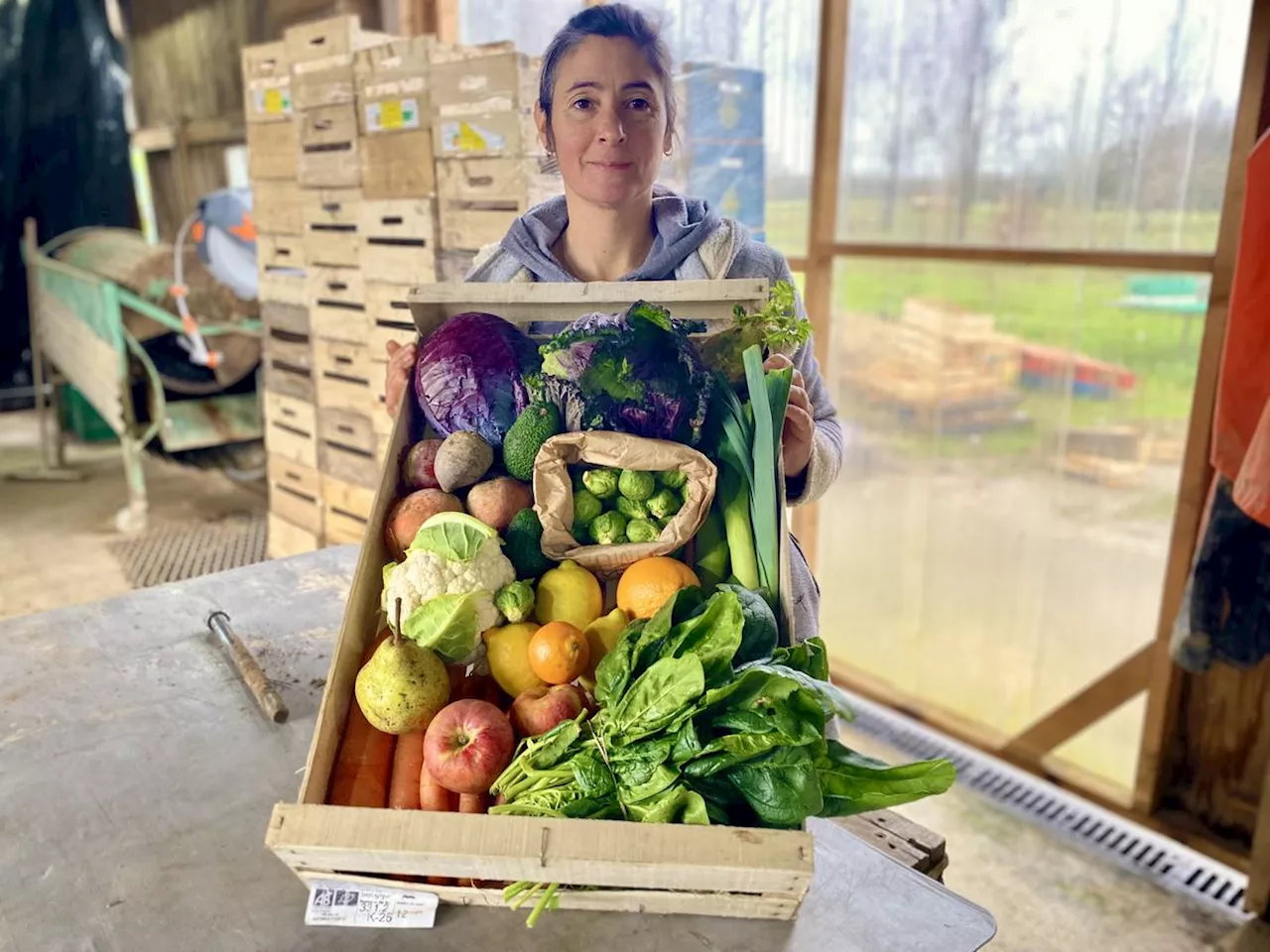 À Couthures-sur-Garonne, la ferme de Cantis cultive de nouveaux projets