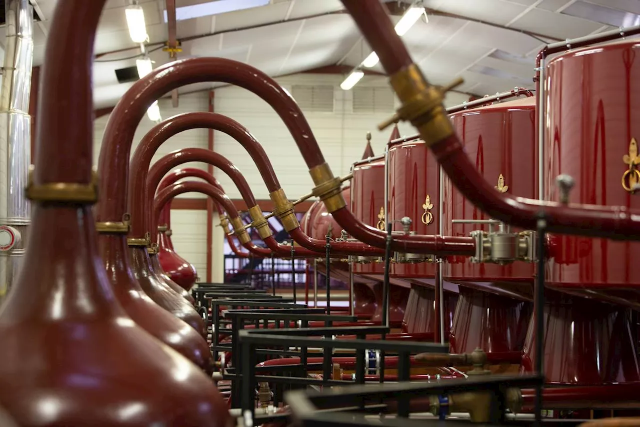 Production Record de Cognac: Plus d'un Million d'Hectolitres d'Alcool Pur