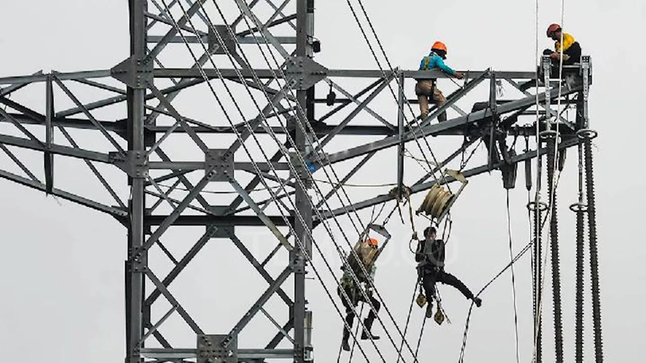 PLN Tingkatkan Pasokan Listrik untuk Bio Farma