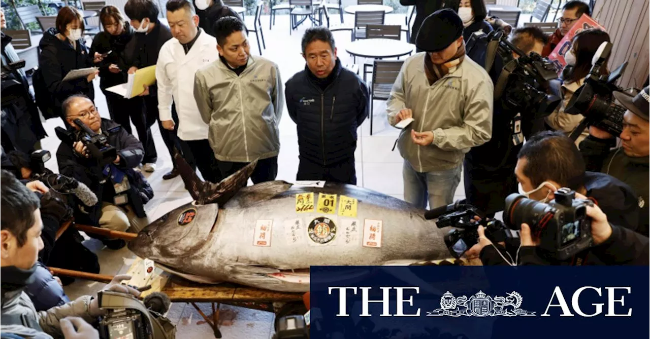 Bluefin Tuna Sells for $1.3 Million at Tokyo Auction