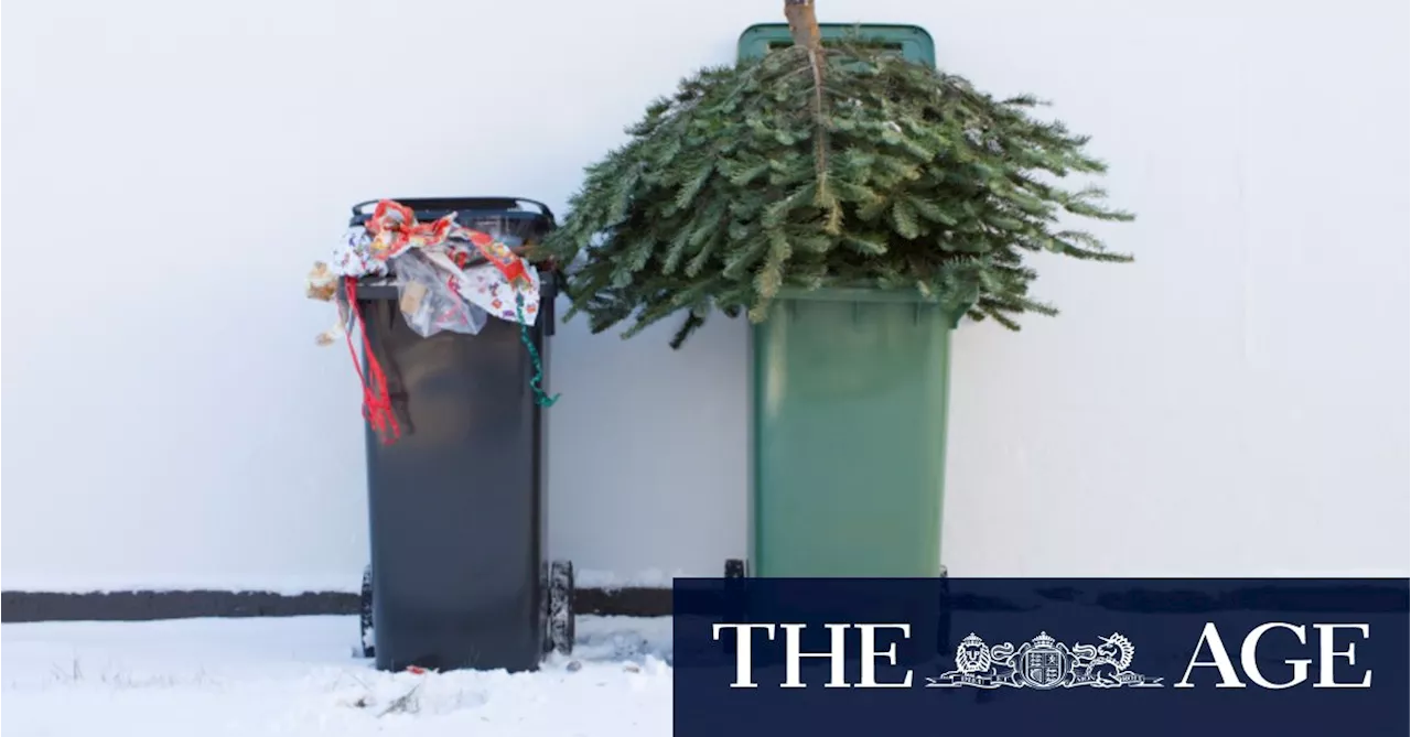 The Trauma of Early Christmas Tree Removal