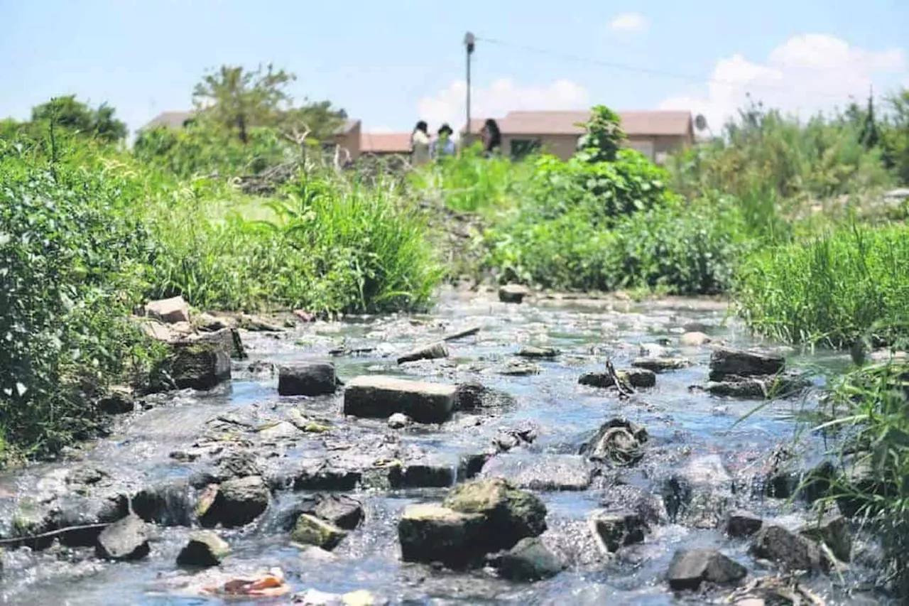 Water Department to Sue Municipality Over Sewage Pollution