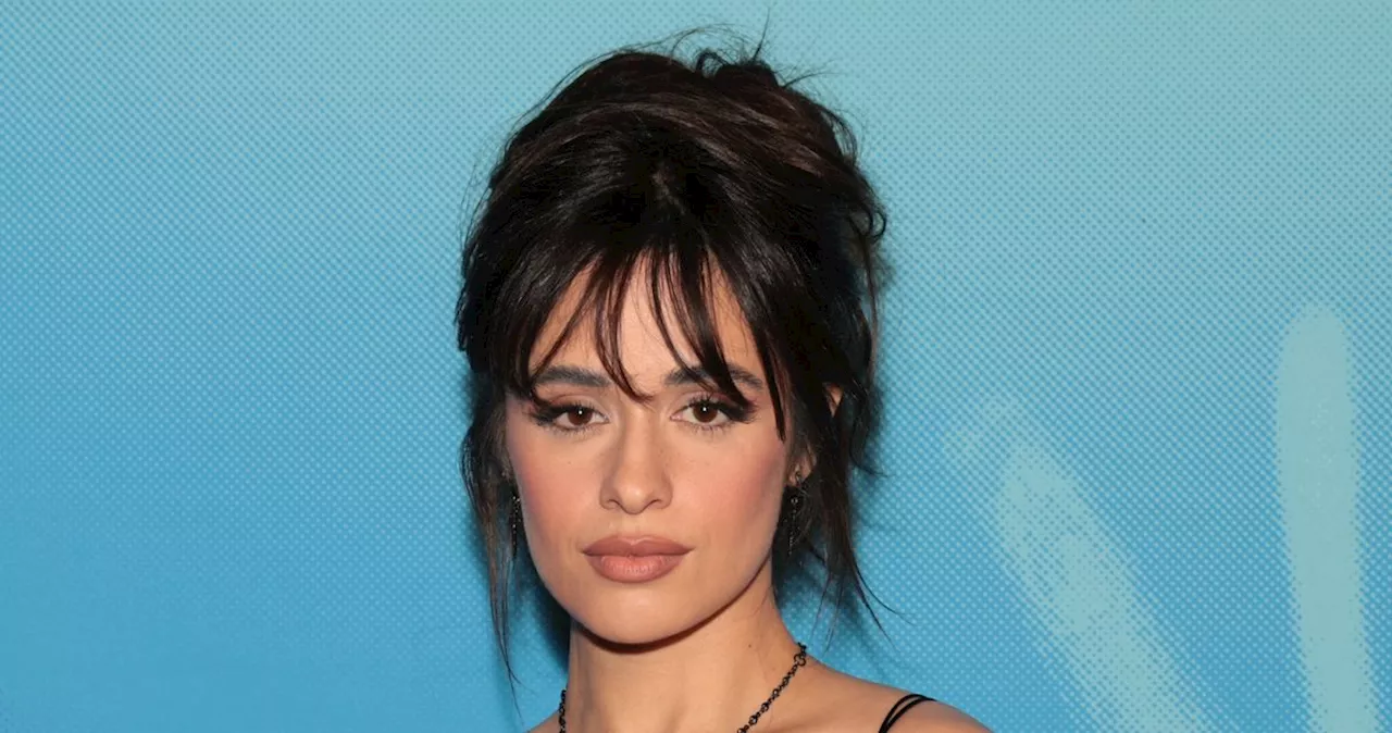 Camila Cabello Spotted Kissing Henry Chalhoub on Vacation