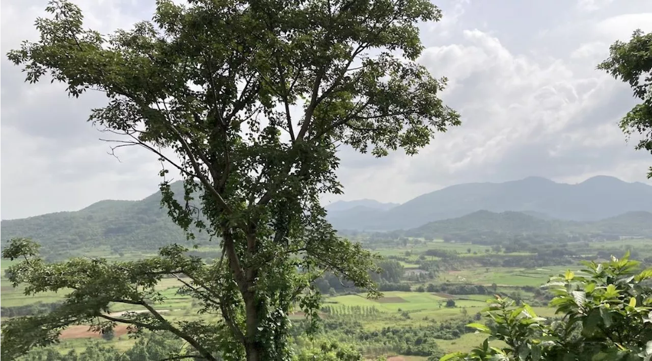 एमओटीए ने मध्य प्रदेश सरकार को रानी दुर्गावती टाइगर रिजर्व में वन अधिकारों के मामले में जांच का निर्देश दिया