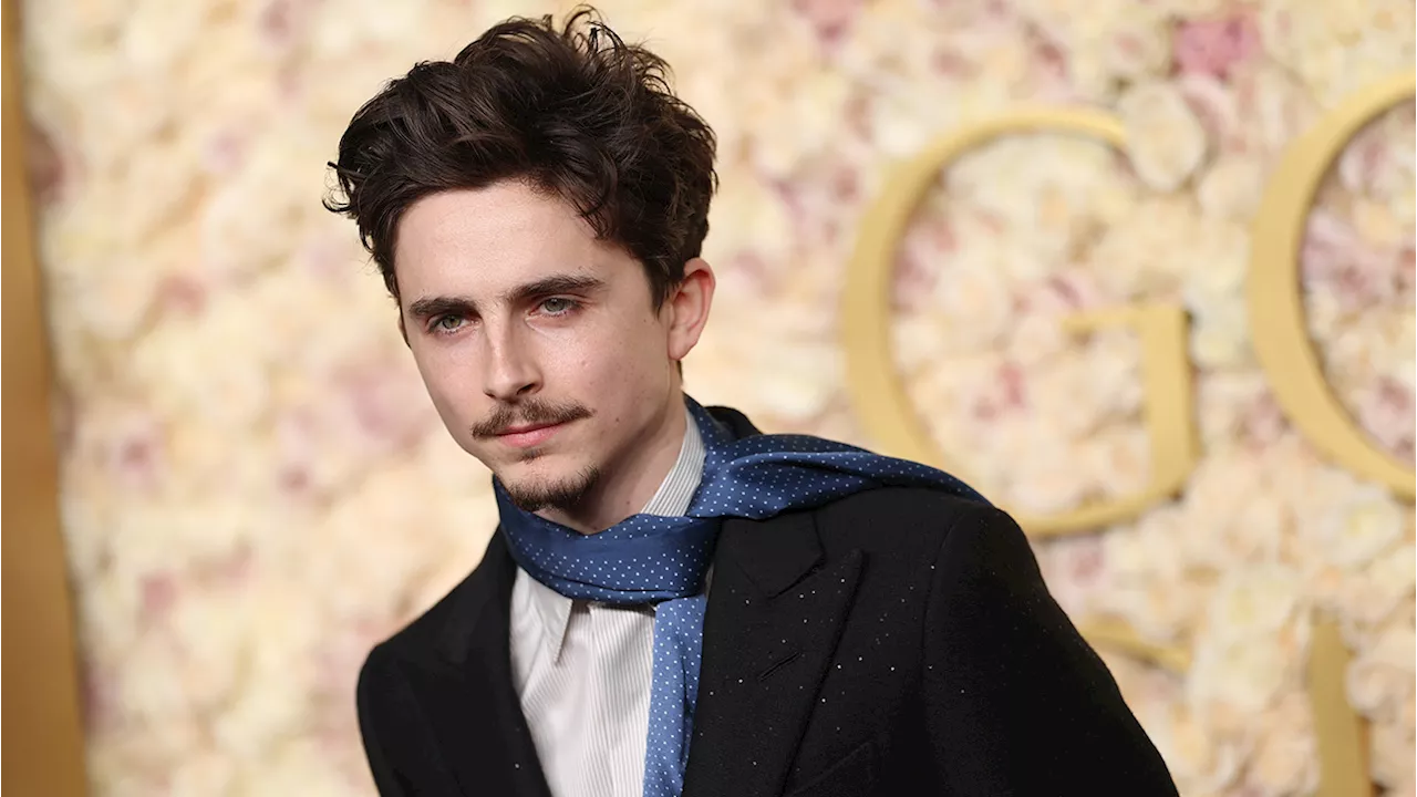 Timothée Chalamet Jokes About His Singing Voice at Golden Globes