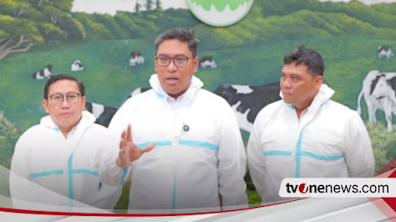 Investasi Besar untuk Peternakan, Pemerintah Dorong Impor Sapi dari Brasil