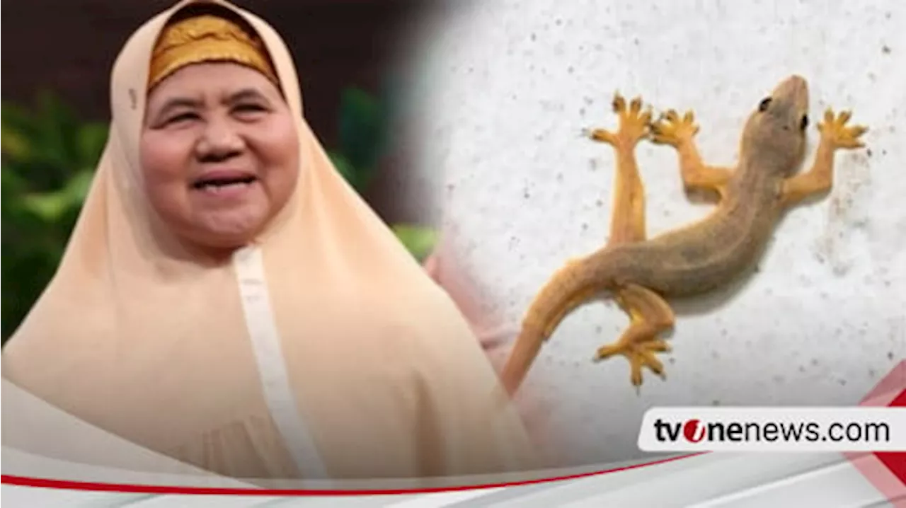 Mamah Dedeh Jelaskan Kejatuhan Cicak: Mitos atau Fakta?