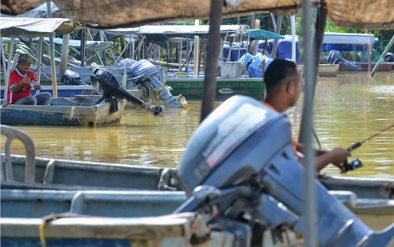 Local Fishermen Struggle to Meet Demand for Giant Freshwater Prawns for Chinese New Year