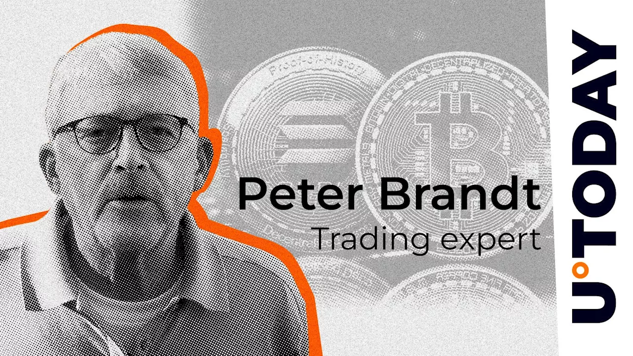 Peter Brandt Predicts Crypto Correction, Prefers Kleenex Stock Over 'Trash Coins'