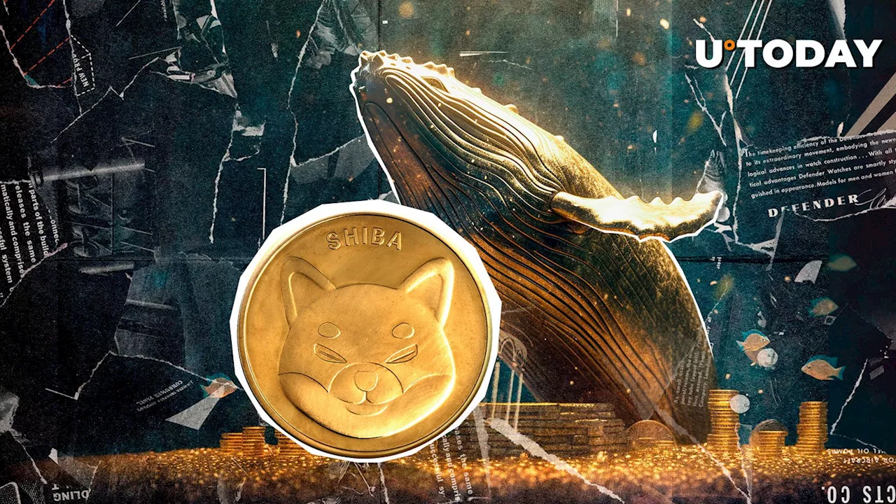 Shiba Inu Price Struggles Amidst Whale Sell-Off and Retail Accumulation