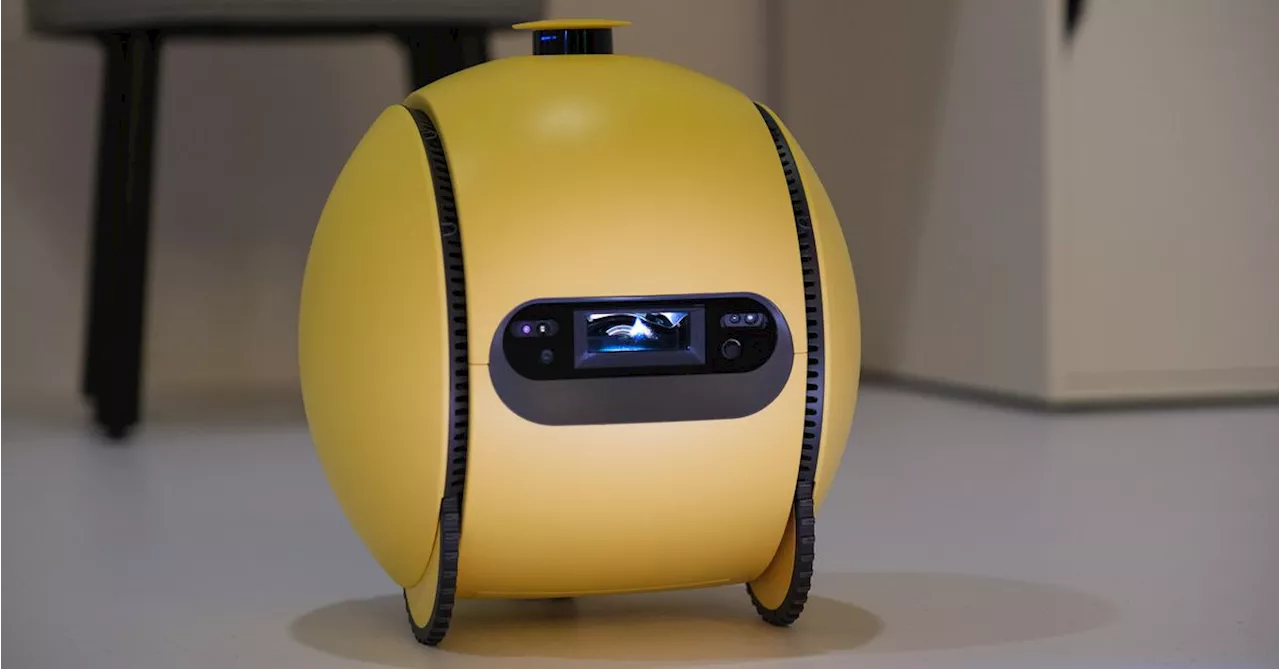 Ballie Robot Makes CES Appearance, Expected Shipping in 2025