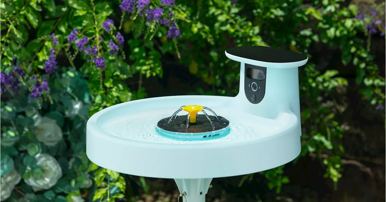 Birdfy Bath Pro Lets You Watch Birds Take a Bath