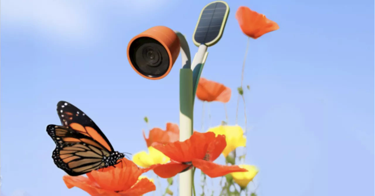 Wonder Unveils Petal Garden Camera with AI-Powered Insect and Plant Identification