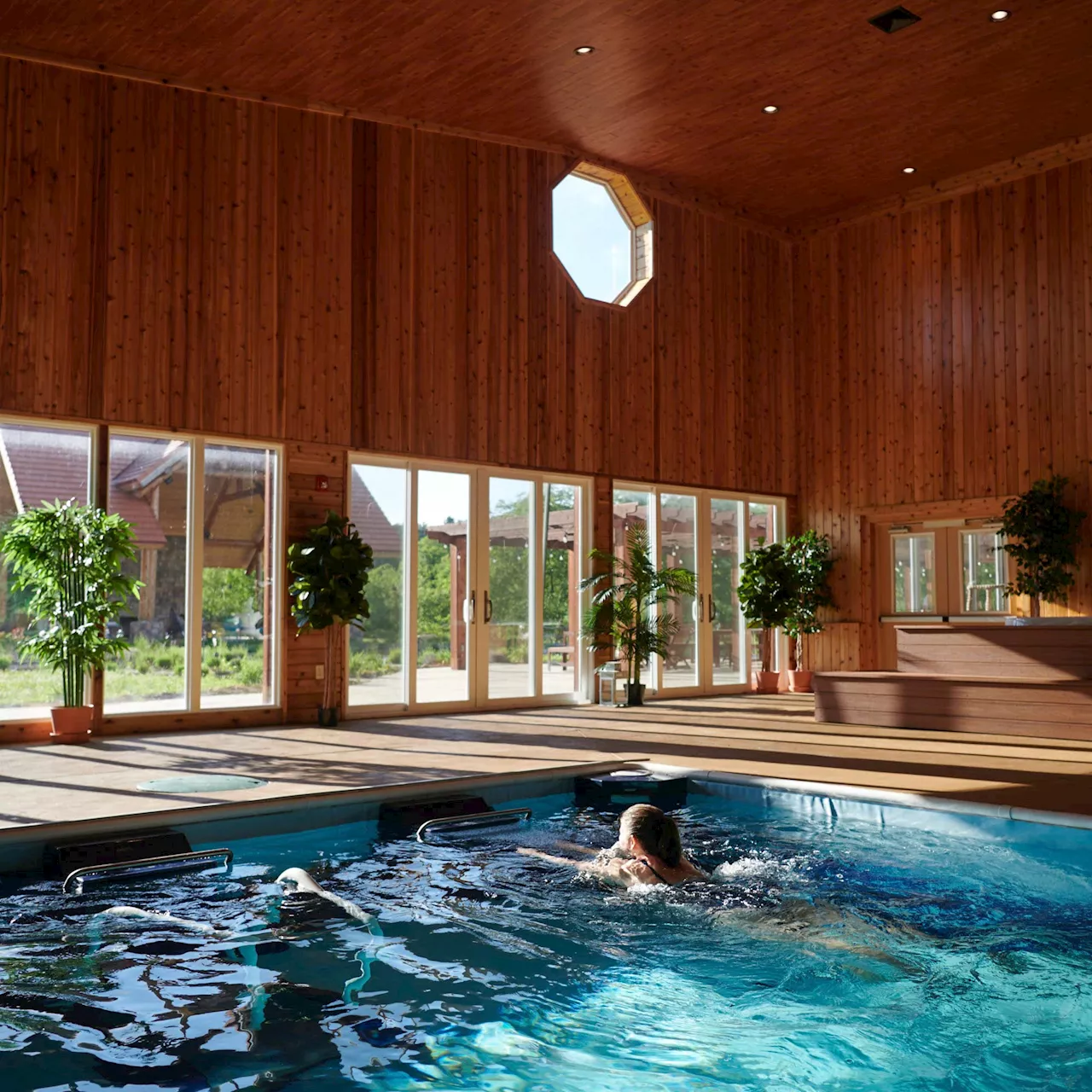 Ayurveda Retreat in Virginia's Blue Ridge Mountains