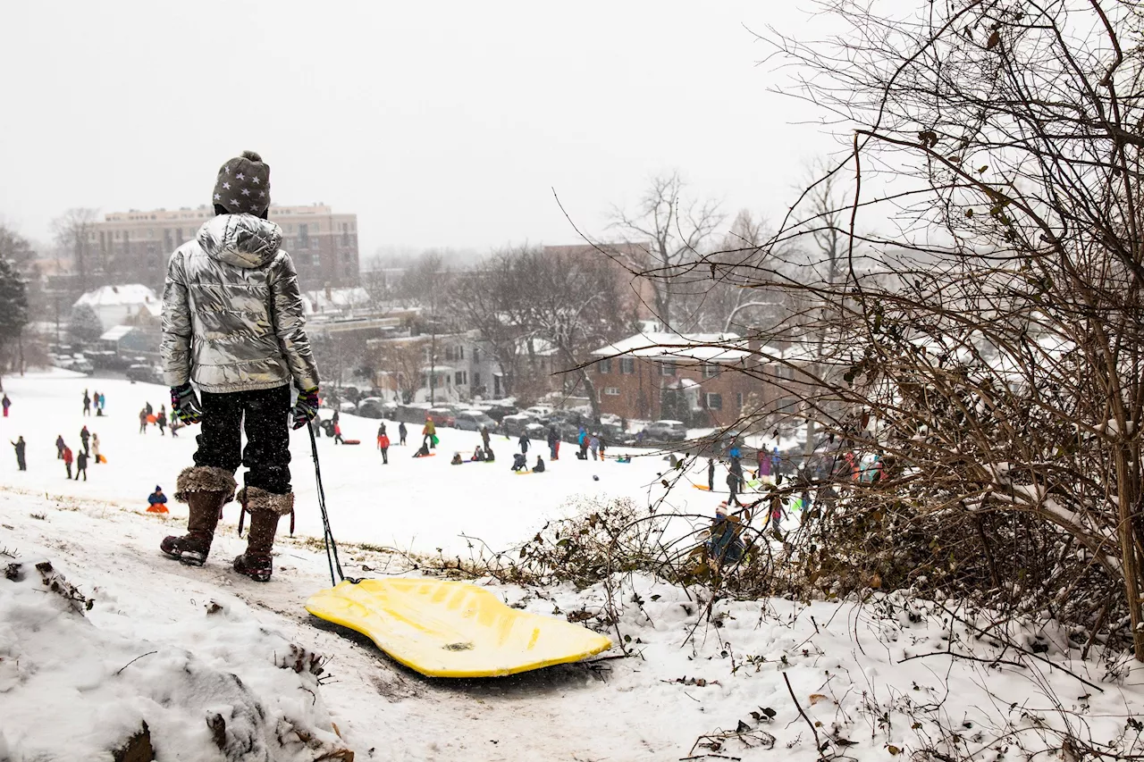 Best Sledding Spots in Washington DC