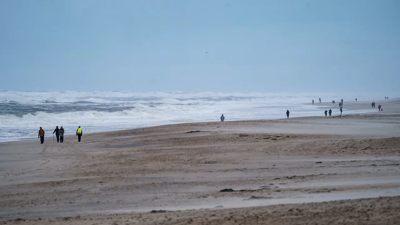 Millionen tot Seesterne an Sylt gestrandet