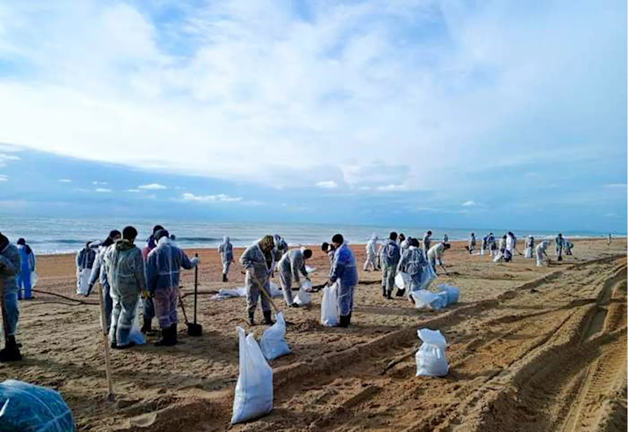 Fuel Oil Spill in Kerch Strait Continues to Impact Wildlife