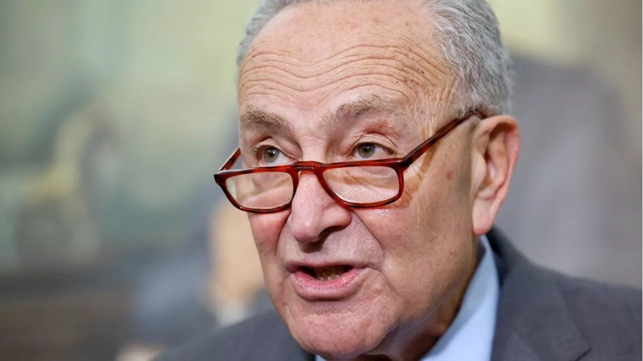 Schumer Says Democrats Must Address 'Mistakes' to Win Back Working Class