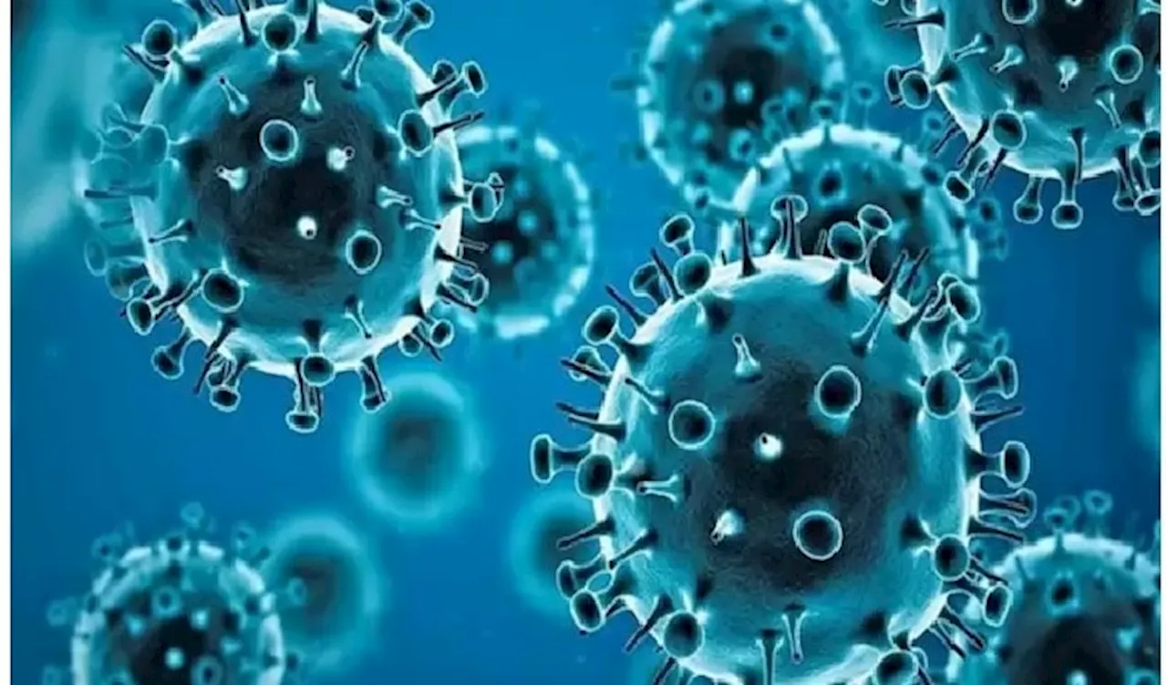 HMPV Virus: దేశంలో వేగంగా వ్యాపిస్తున్న హెచ్ఎంపీవీ, ఏం చేయాలి, ఏం చేయకూడదు