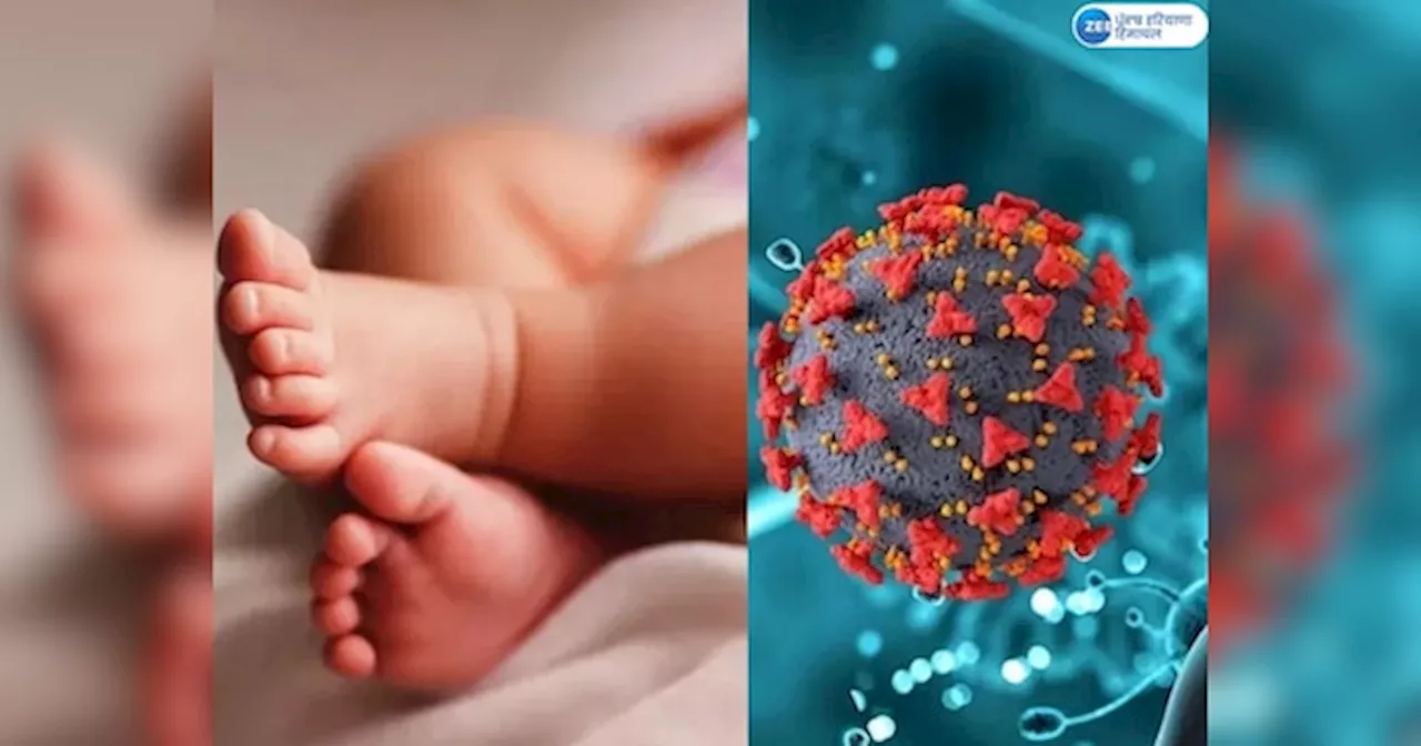 HMPV Virus: ભਾਰਤ में HMPV का प्रवेश, बेंगलुरु में 8 महीने का बच्चा वायरस की लपेट में