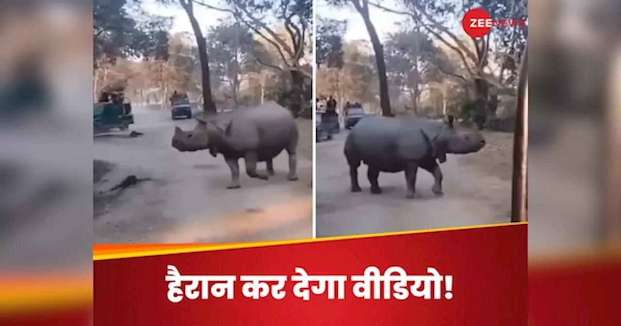 Kaziranga viral video: काजीरंगा में बड़ा हादसा टला.. सफारी के दौरान गैंडे के पास गिरी मां-बेटी, बाल-बाल बचीं; VIDEO देख रोम-रोम कांप उठेगा