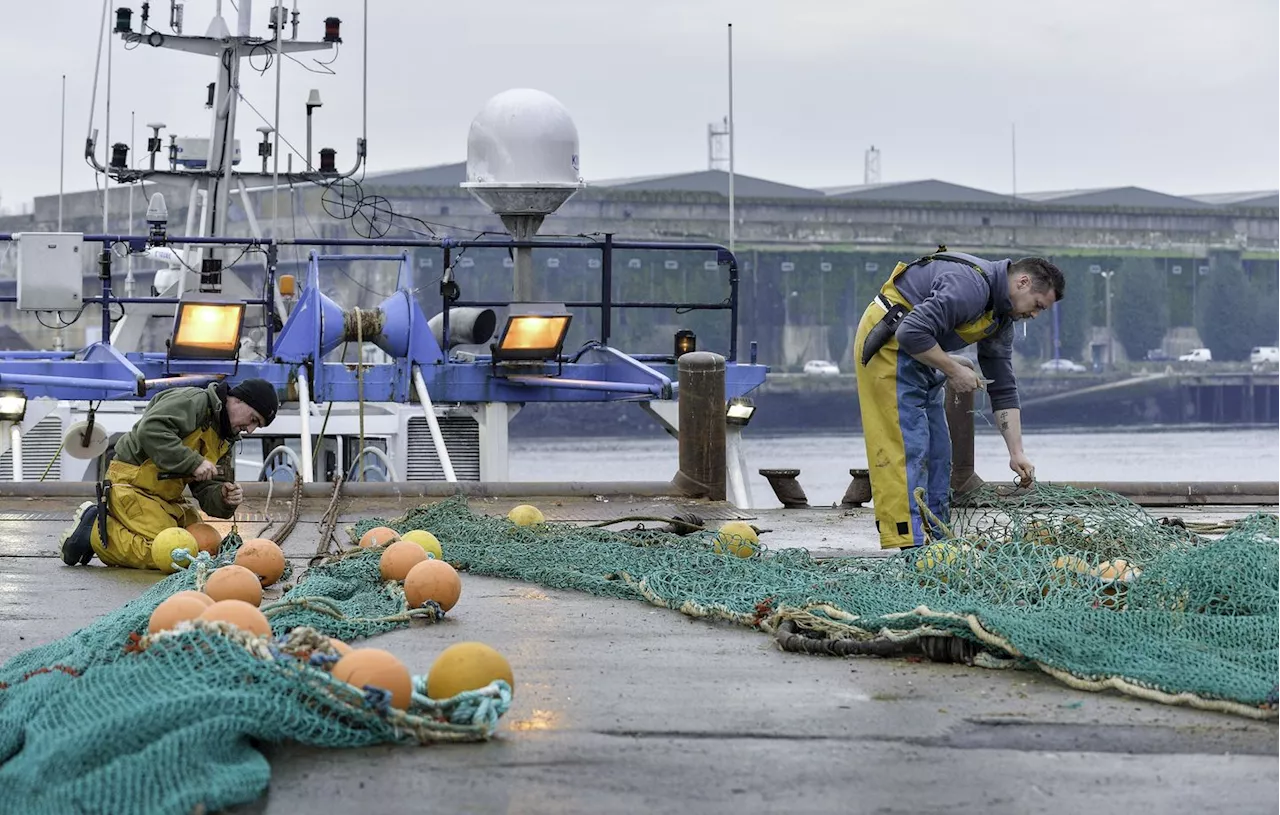 Fermeture de la Pêche dans le Golfe de Gascogne Reconfirmée pour Protéger les Dauphins