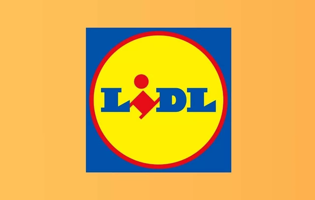 Lidl : De nouvelles Offres de Bricolage avec la Gamme Parkside