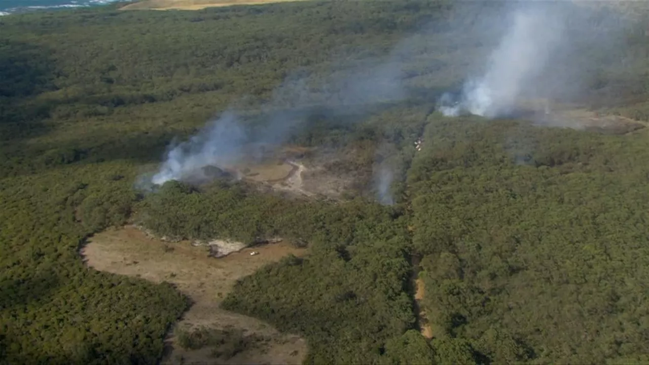 Victoria Bushfires Force Evacuations in Otway Region