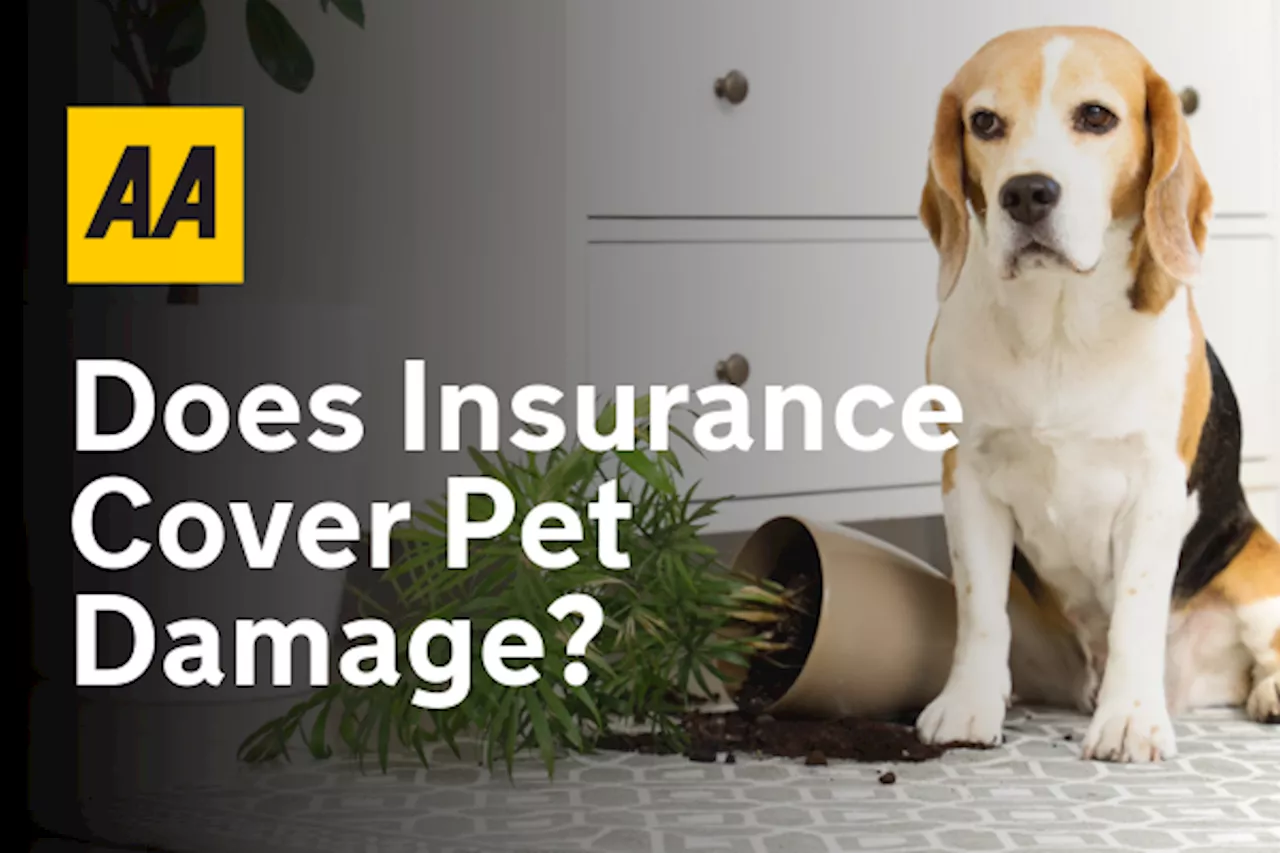 Accidental Damage Insurance: Understanding Coverage and Exclusions