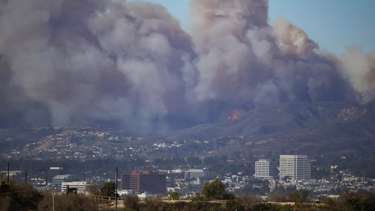 Brush Fires Erupt in Los Angeles Amid Strong Winds and Dry Weather