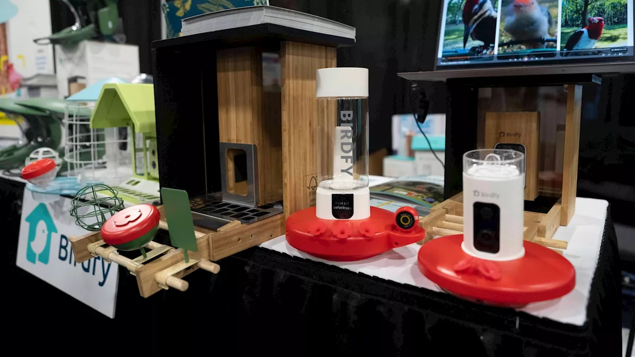 Smart Bird Feeders with Cameras Spark Birdwatching Enthusiasm