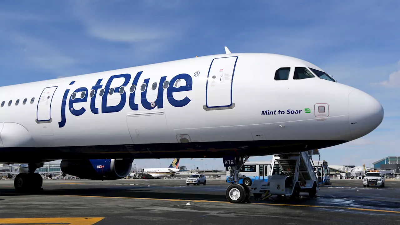 Two Bodies Found Dead in JetBlue Landing Gear