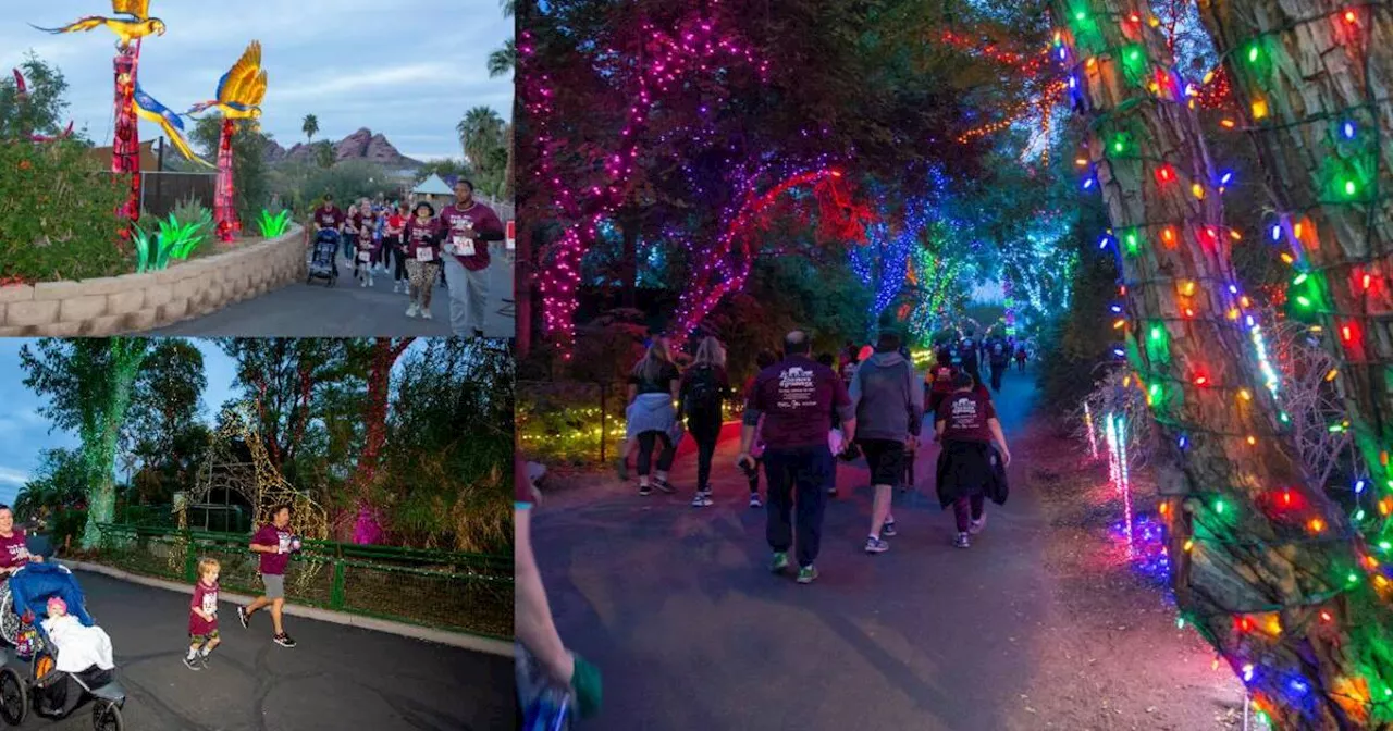 Run with the Animals at Phoenix Zoo's Move & Groove 5K