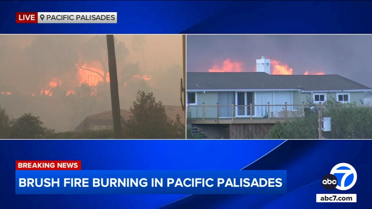 Wildfire Erupts in Pacific Palisades, Forcing Evacuations