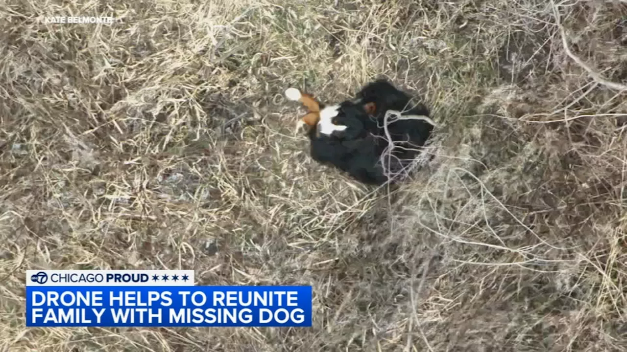 Missing Dog Found Alive After Nearly a Week Using Thermal Drone