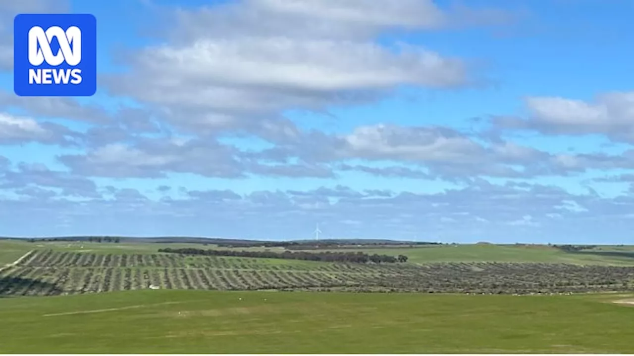 Wind Farm Proposal to Bring Millions to WA Community