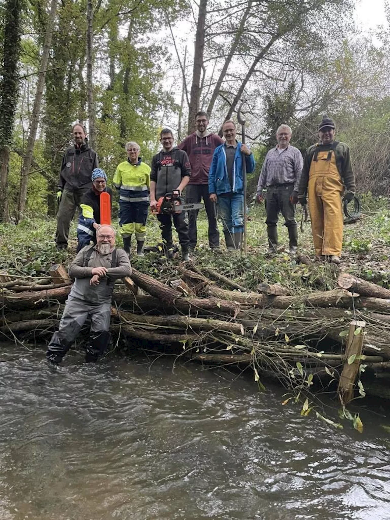 La Gaule antrainaise restaure les rivières pour le saumon