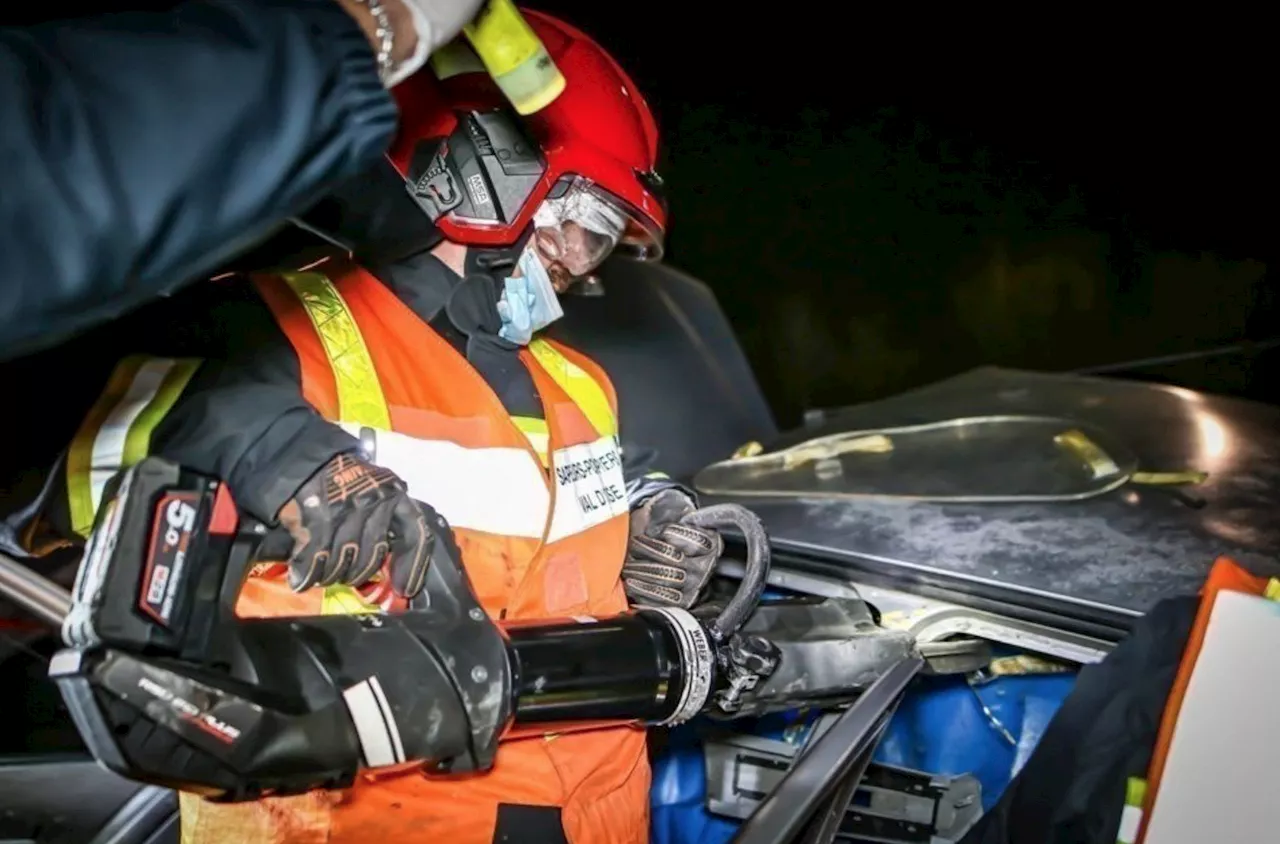 Val-d'Oise : une femme blessée gravement après la chute d'un arbre sur sa voiture