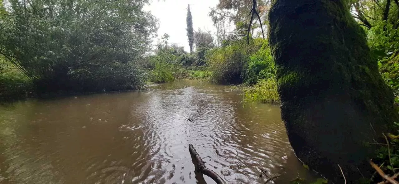 Vigilance jaune, la rivière La Vendée en alerte face à des crues imminentes