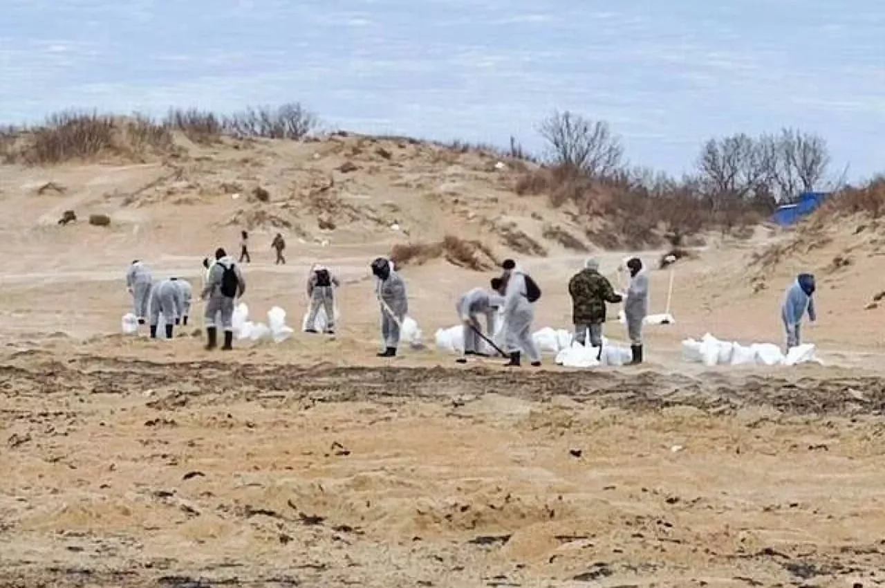 Кондратьев: с пляжей Кубани вывезли 129 тысяч тонн замазученного песка