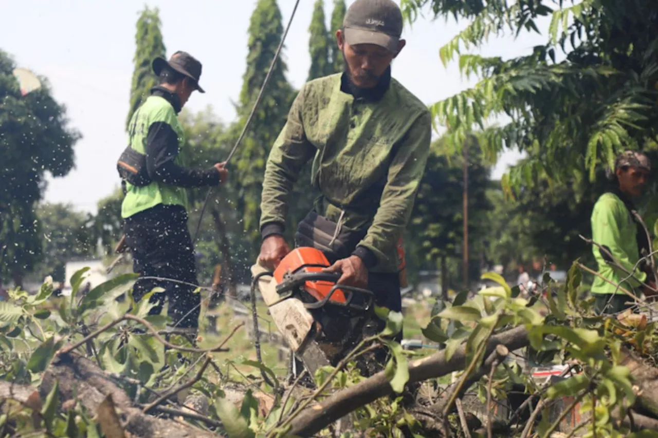 Jakarta Selatan Pangkas 22.006 Pohon untuk Cegah Tumbang