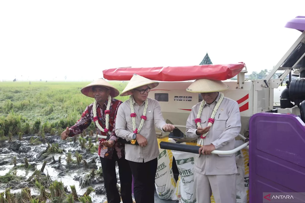 Wamendagri Optimis Swasembada Pangan Tercapai Lebih Cepat