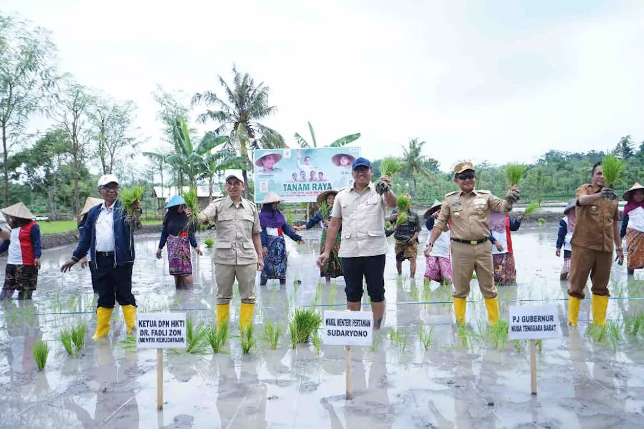 Wamentan Ajak Petani NTB Maksimalkan Musim Tanam Padi 2025