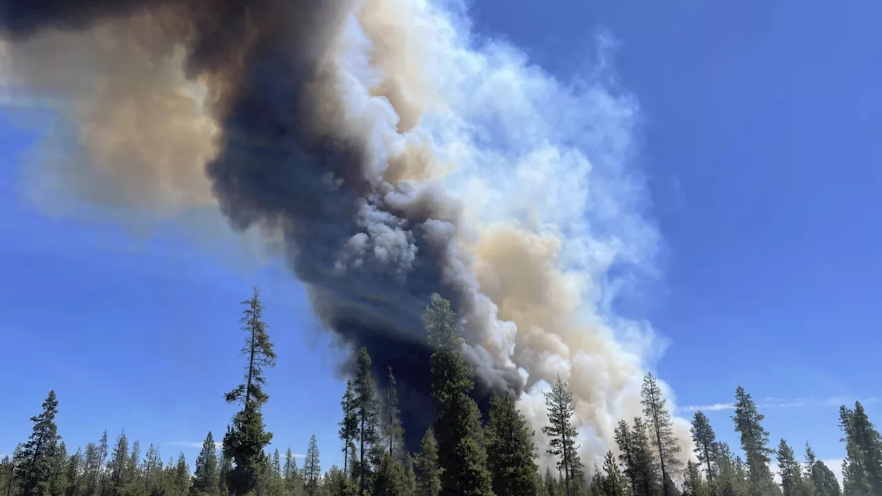 Wildfires Rage in Oregon, Leaving Devastating Aftermath