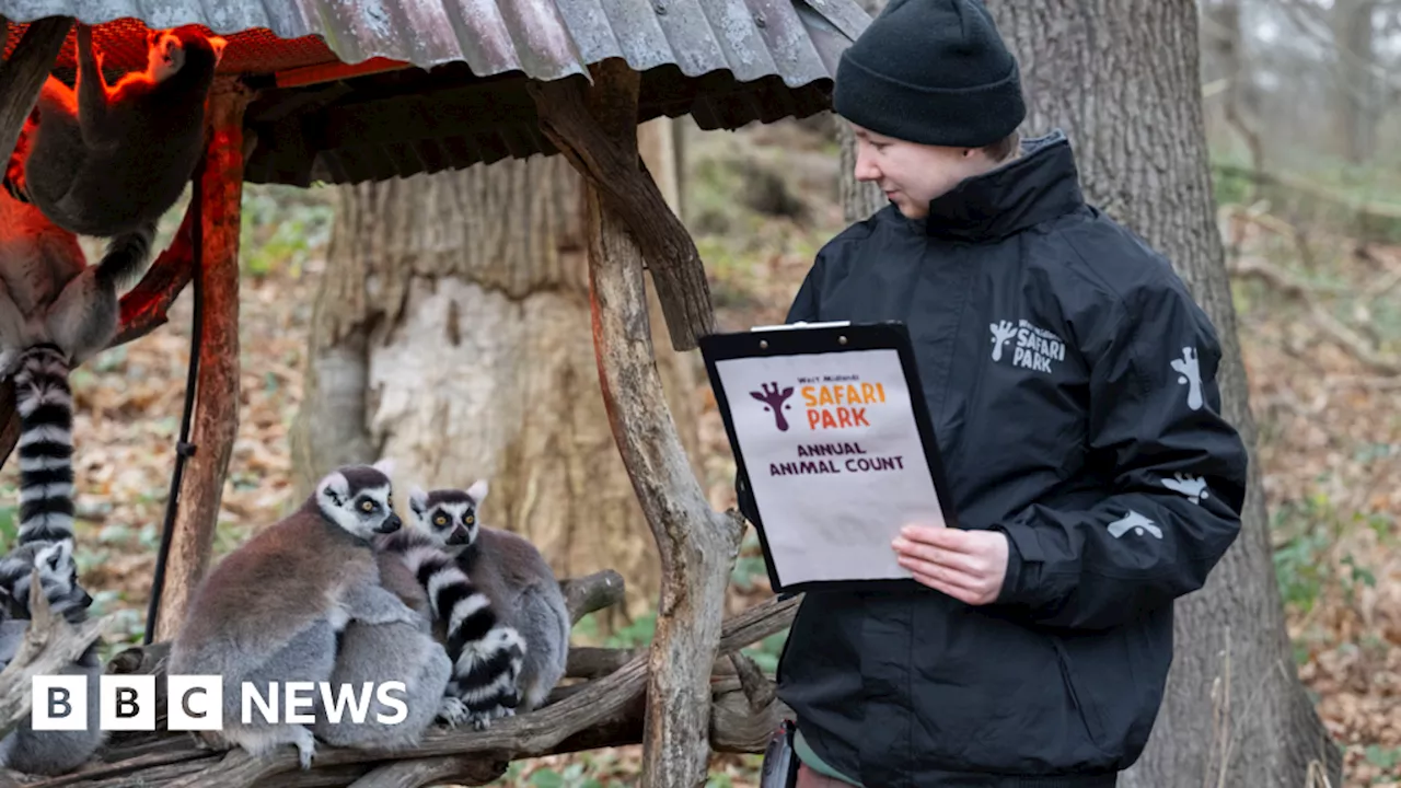 West Midlands Safari Park Counts Over 1,000 Animals