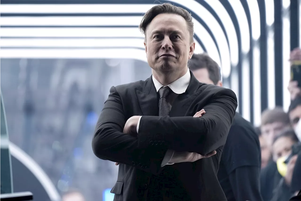 Für eine Manipulation von X durch Elon Musk gibt es keine Beweise