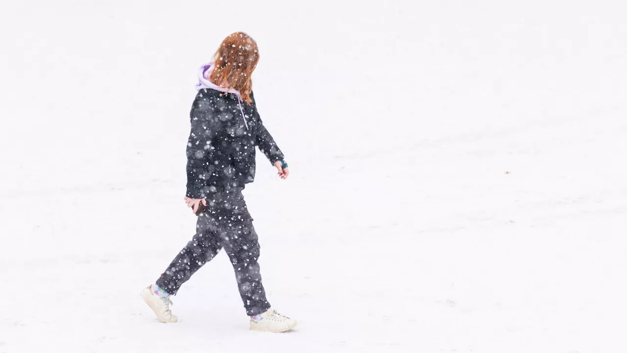 Nord-Pas-de-Calais: plusieurs centimètres de neige attendus mercredi et jeudi