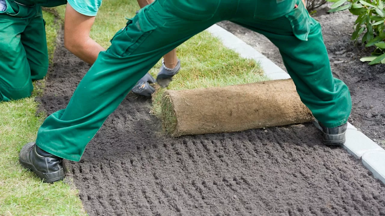 Forderung für Berlin: Stütze-Empfänger sollen Parks und Bahnhöfe putzen