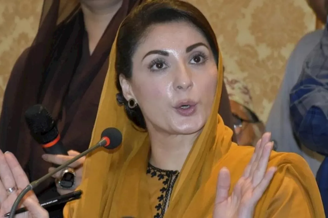 مریم نواز نے پنجاب صحت بحالی کے معاملے پر اظہارِ نگرانی کیا