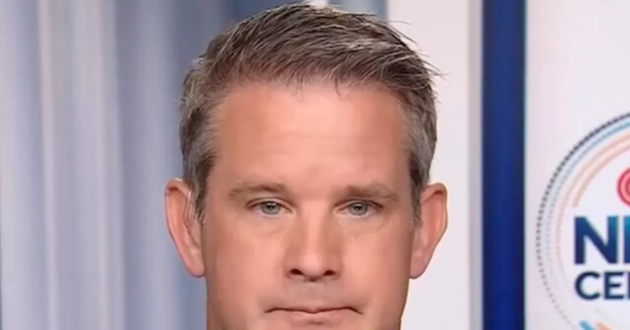 Kinzinger Claims History Will Remember January 6 as a 'Coup Attempt'